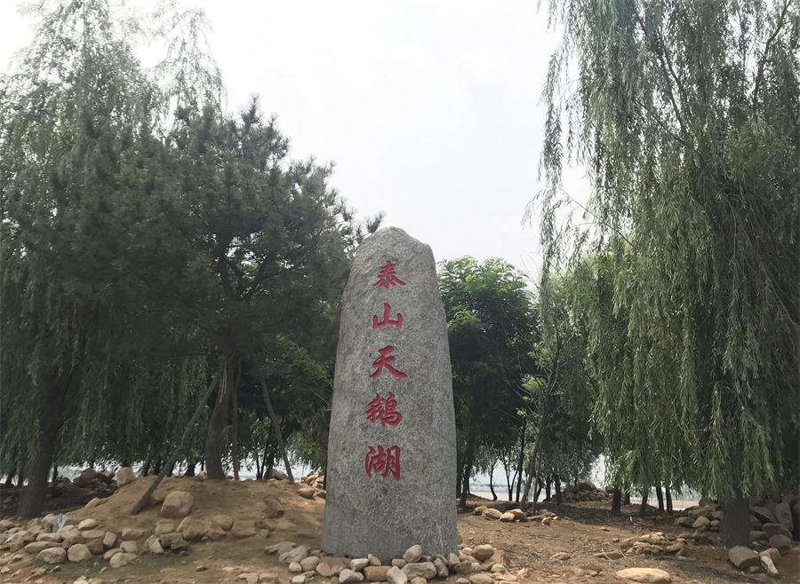 天鵝湖風(fēng)景區(qū)（泰山）速覽！(圖12)