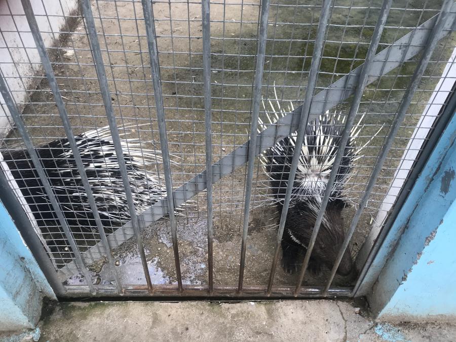 天鵝湖風(fēng)景區(qū)（泰山）速覽！(圖10)