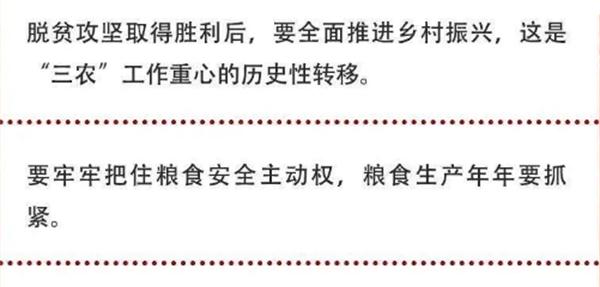 2020年中央農(nóng)村工作會議精神速覽！(圖2)