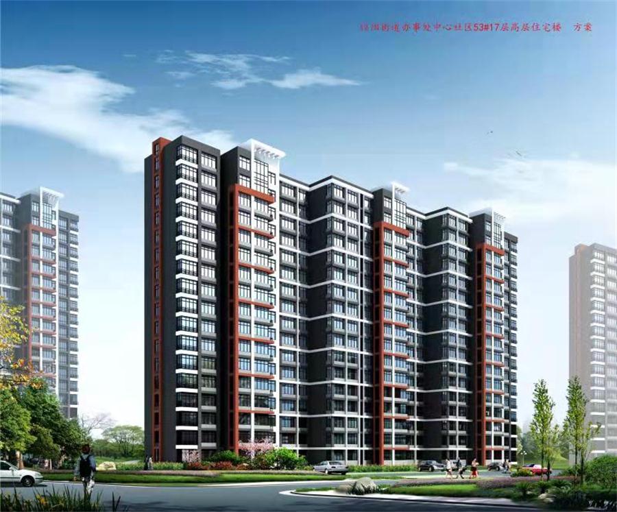 勁性復(fù)合樁:設(shè)計(jì)、施工、驗(yàn)收、造價(jià)交流會(huì)成功舉辦！(圖4)