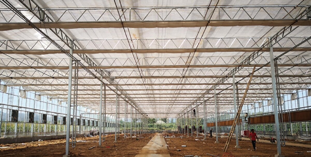 信橋鋼構(gòu)：打卡蒙陰農(nóng)業(yè)溫室大棚、青州黑牛養(yǎng)殖基地！(圖3)