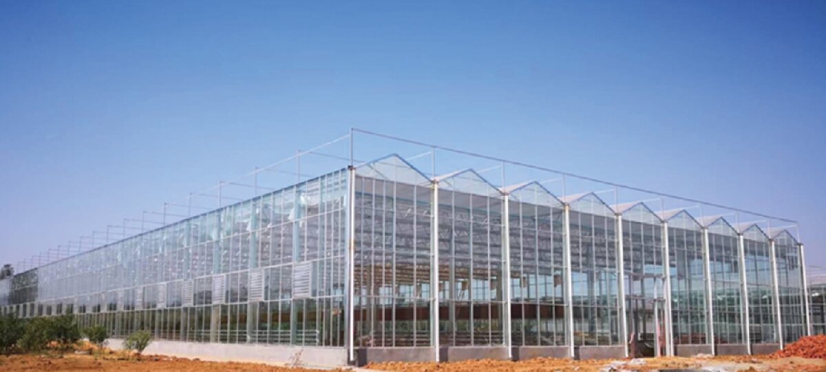 信橋鋼構(gòu)：打卡蒙陰農(nóng)業(yè)溫室大棚、青州黑牛養(yǎng)殖基地！(圖2)